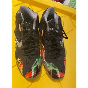 Lebron  youth Everglades